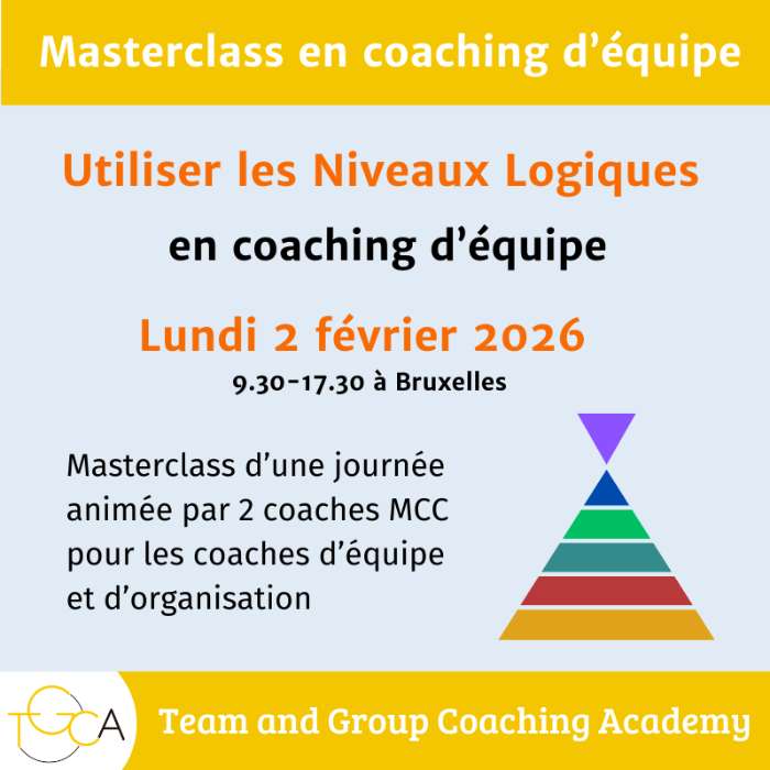 Utiliser les Niveaux Logiques en coaching d’équipe